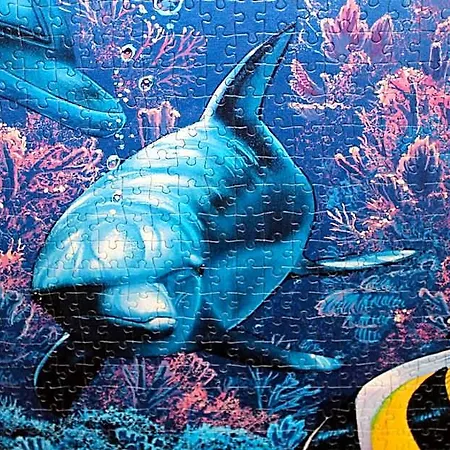 Puzzle Figueira da Foz