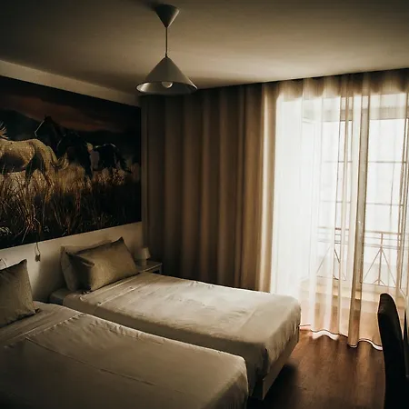 Puzzle Фигейра-да-Фош